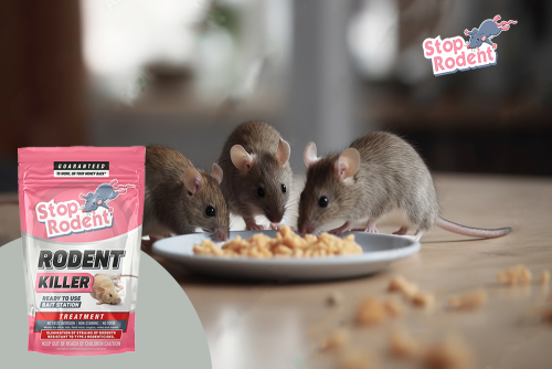 Se revela la ciencia detrás de nuestra fórmula antiroedores : cómo el veneno para ratas combate las infestaciones de manera precisa y segura