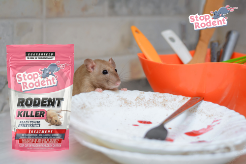 Soluciones anti-ratas y ratones 100% efectivas