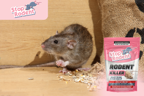 ¿Cuál es la vida útil de los cebos para roedores?