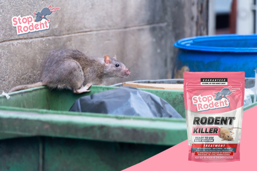 ¿Cuál es el mejor tratamiento para el control de roedores?