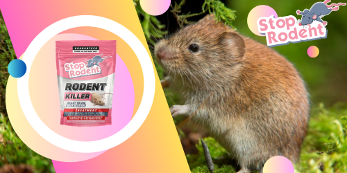 Es posible conservar el producto anti-roedores