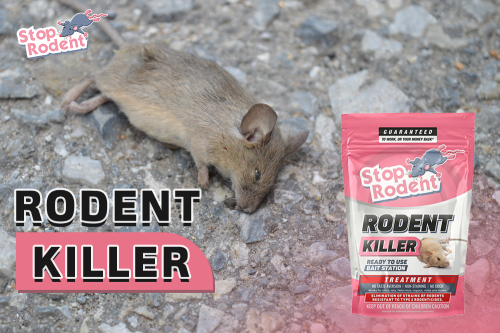 Explorando opciones ecológicas de control de roedores para su hogar : descubra el 'veneno para ratas', una solución respetuosa con el medio ambiente