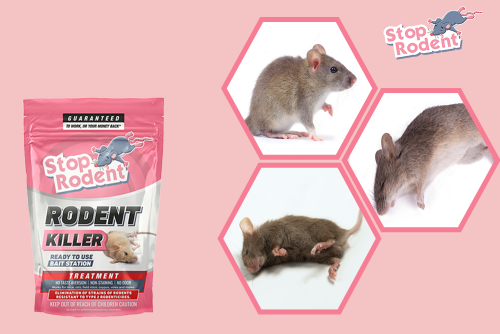 ¿Es legal Stop Rodent en España?
