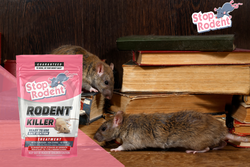 Proteger su empresa de los roedores: una guía completa para un entorno de trabajo saludable